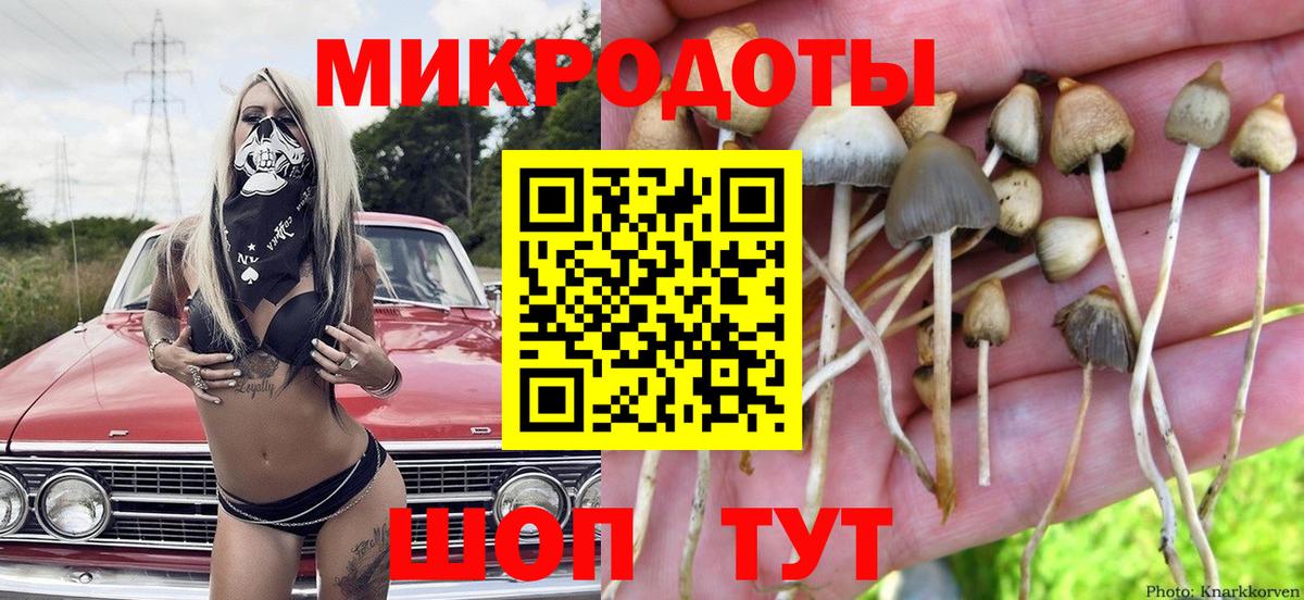 Семёнов  Псилоцибиновые грибы MAGIC MUSHROOMS  Вход с VPN 